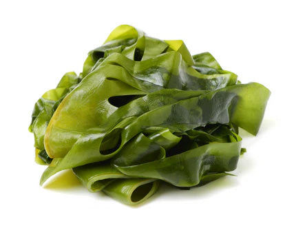 Wakame Seaweed