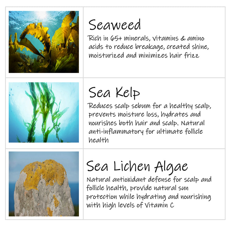 DETANGLE & SHINE LEAVE-IN CONDITIONER Enriched with Seaweed, Kelp & Algae  8 fl. oz / 250 ml