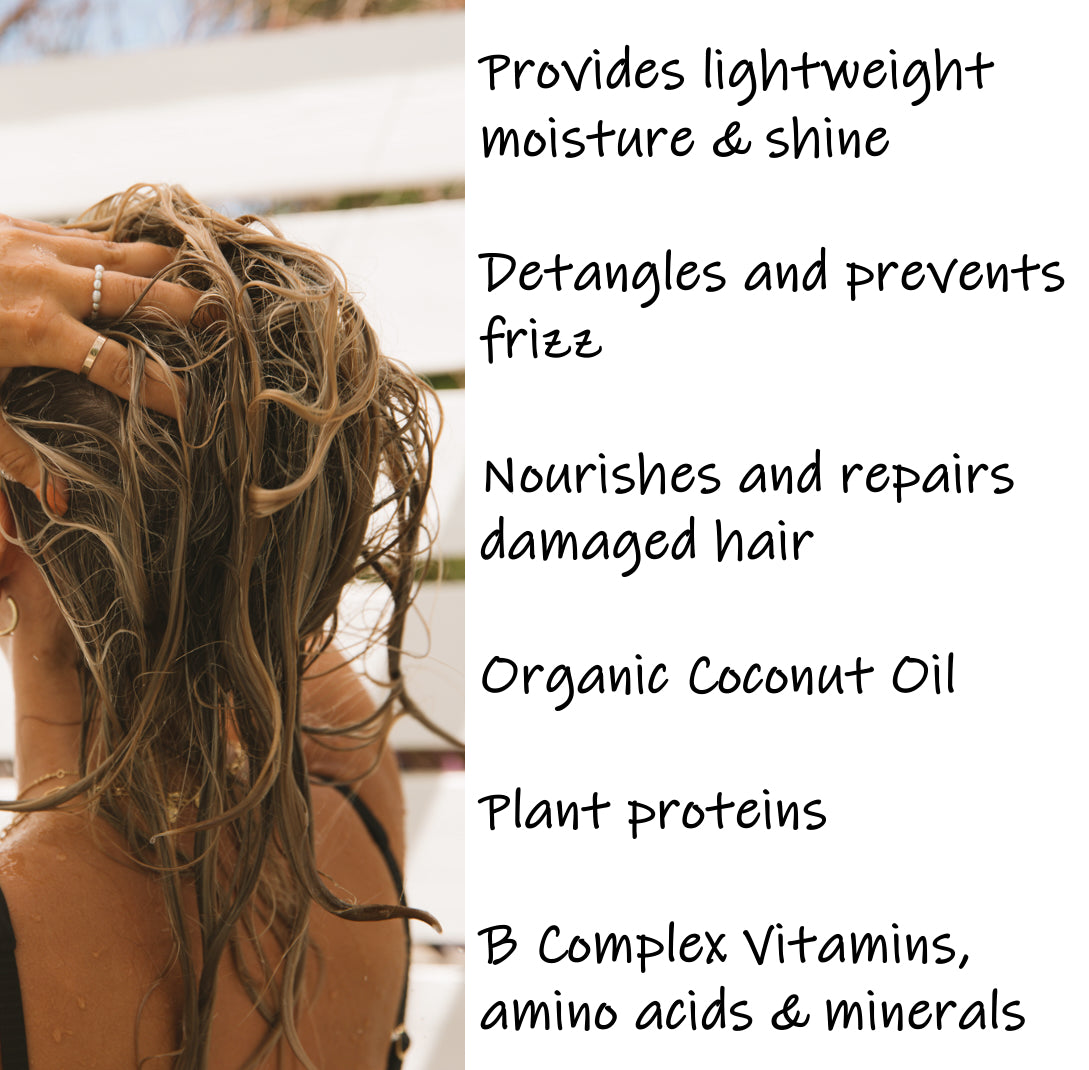 SEA KELP DAILY CONDITIONER Enriched with Kelp, Seaweed, & Algae 8 fl. oz / 250 ml - saltiebeauty.com